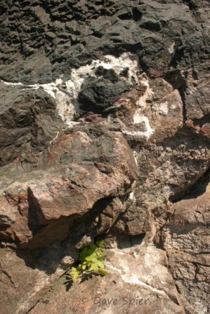 calcite fills veins in the basalt at the contact with the original granite bedrock as we return to the lower level