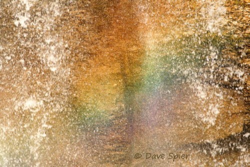 Falling water reflects sunlight to create a rainbow. The rock behind the rainbow is Hamilton-group shale deposited in a shallow inland sea during the middle Devonian period. (ref. # D060922) © Dave Spier